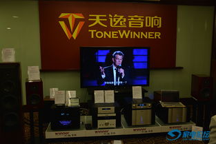 声临其境，匠心之作 2015广州国际音响唱片展上的广州天逸电子